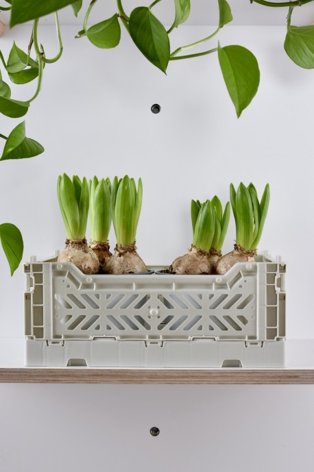 TABLICA PEGBOARD PIONOWA BIAŁA