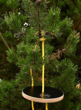 HUŚTAWKA KOŁO czarna