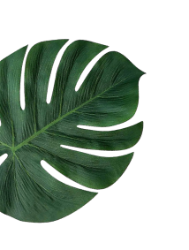 Dekoracja sekcji opinii